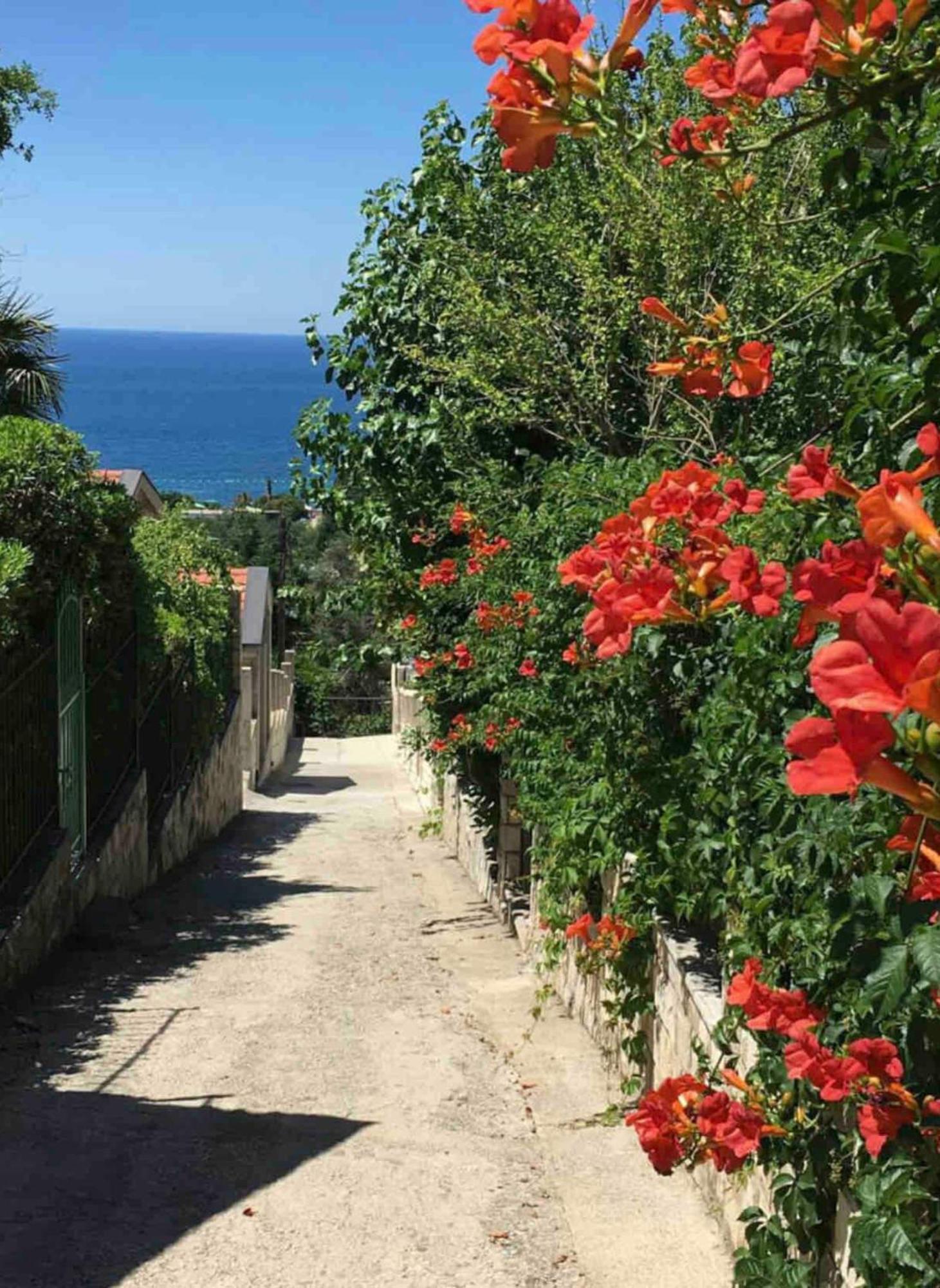 Bay View Apartments Petrovac Kültér fotó